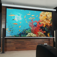 Usato - Ottimo stato // SAKER PREMIUM - MaxWhite FG / 16:9 / 120" (266x149 - Top-Drop 50 cm) // B-SK120XHW-E20 - 245H01259